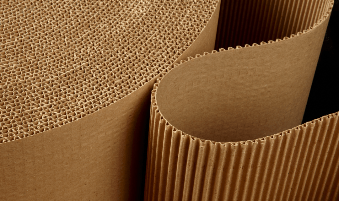 packing-carta-cartone